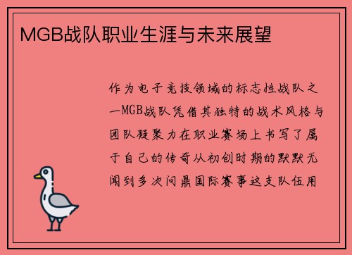 MGB战队职业生涯与未来展望